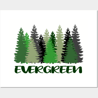 EVERGREEN Posters and Art